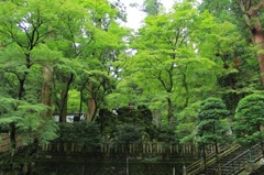 寂静