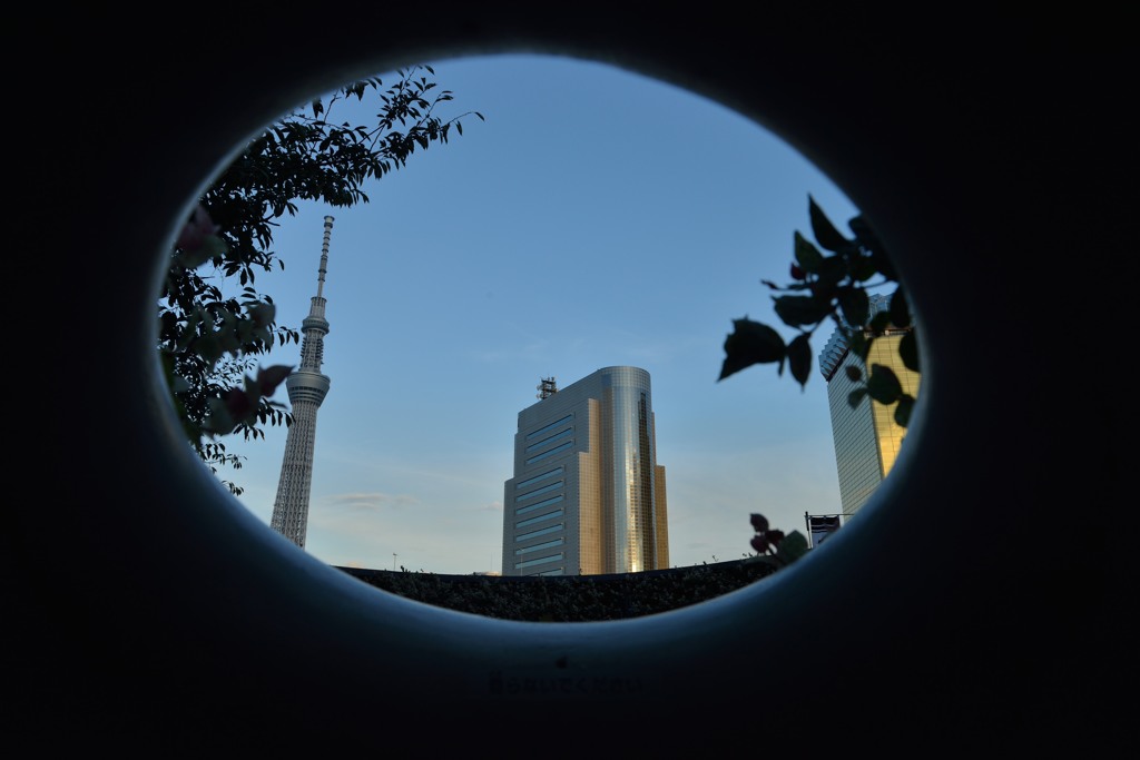 円の中