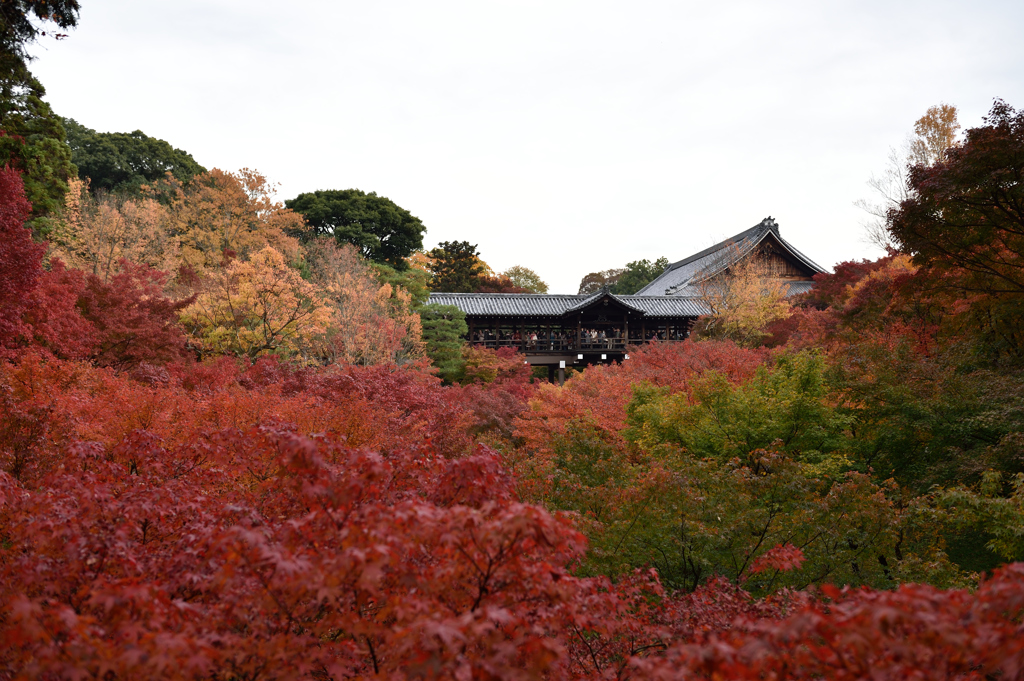 東福寺 通天橋