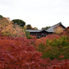 東福寺 通天橋