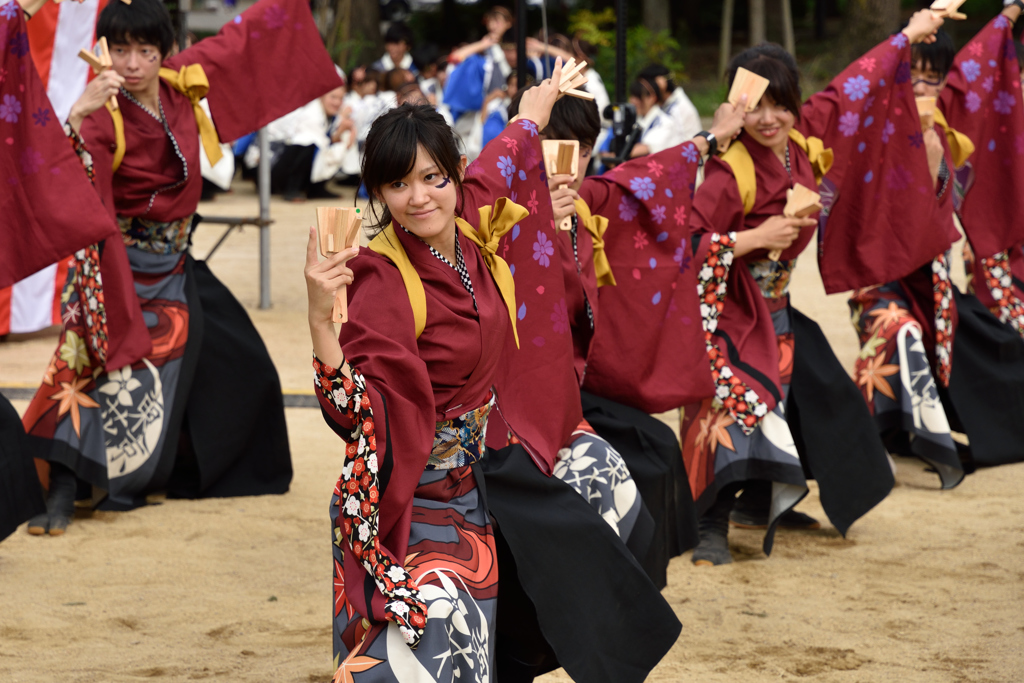 2016年こいや祭り 東京花火-1