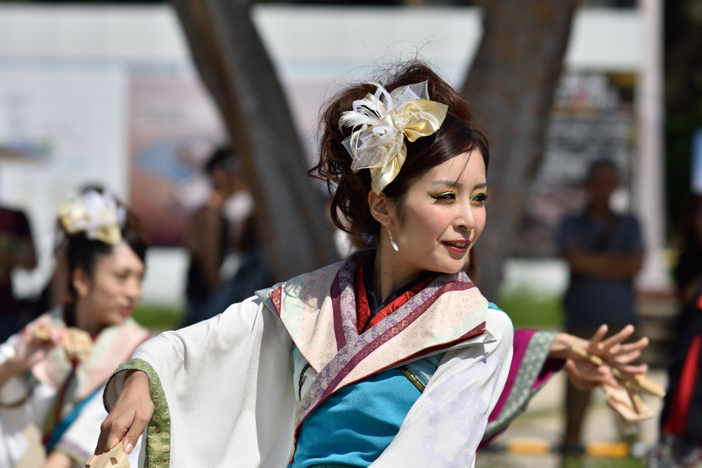 こいや祭り 2015