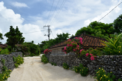 2016年竹富島