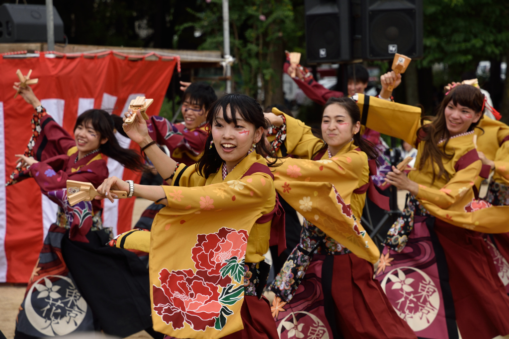 2016年こいや祭り 東京花火-3