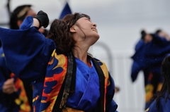 神戸よさこい 2013