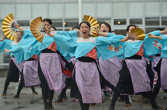 2015年 神戸よさこい 本祭2日目 京小町さん