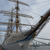 神戸帆船フェスティバル 海王丸