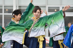 2015年 神戸よさこい 本祭2日目