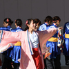 龍馬よさこい 2016-1