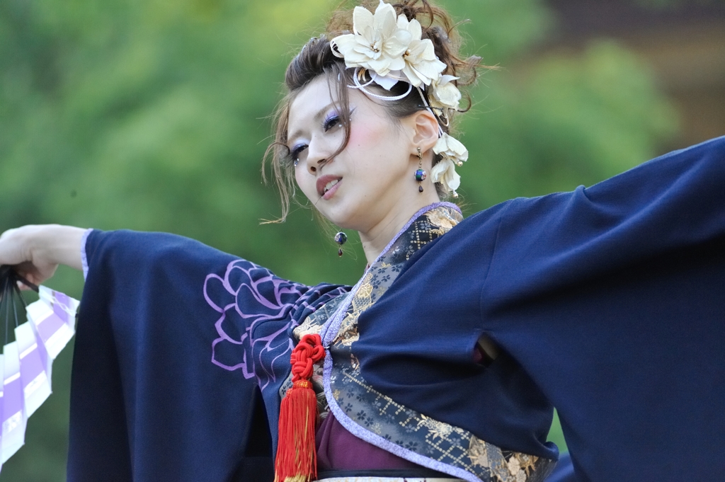 KOBE ALIVE 2013