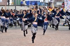 神戸よさこい 2014 本祭2日目