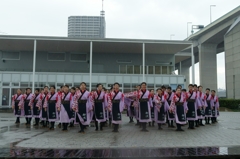 2015年 神戸よさこい 本祭2日目 京小町さん