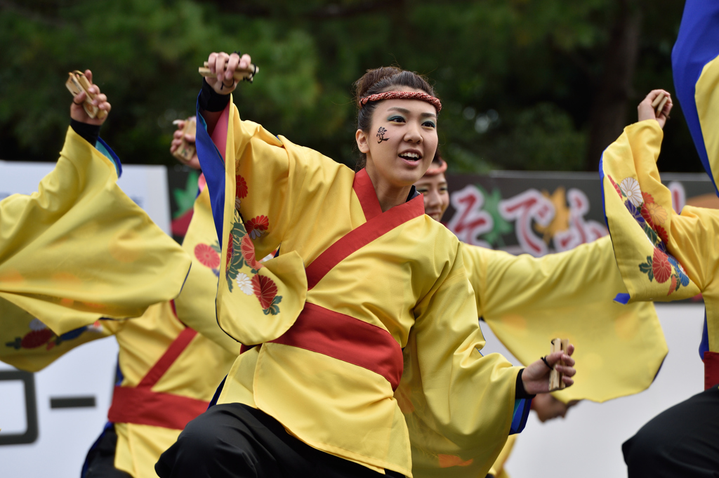 京都学生祭典 2014