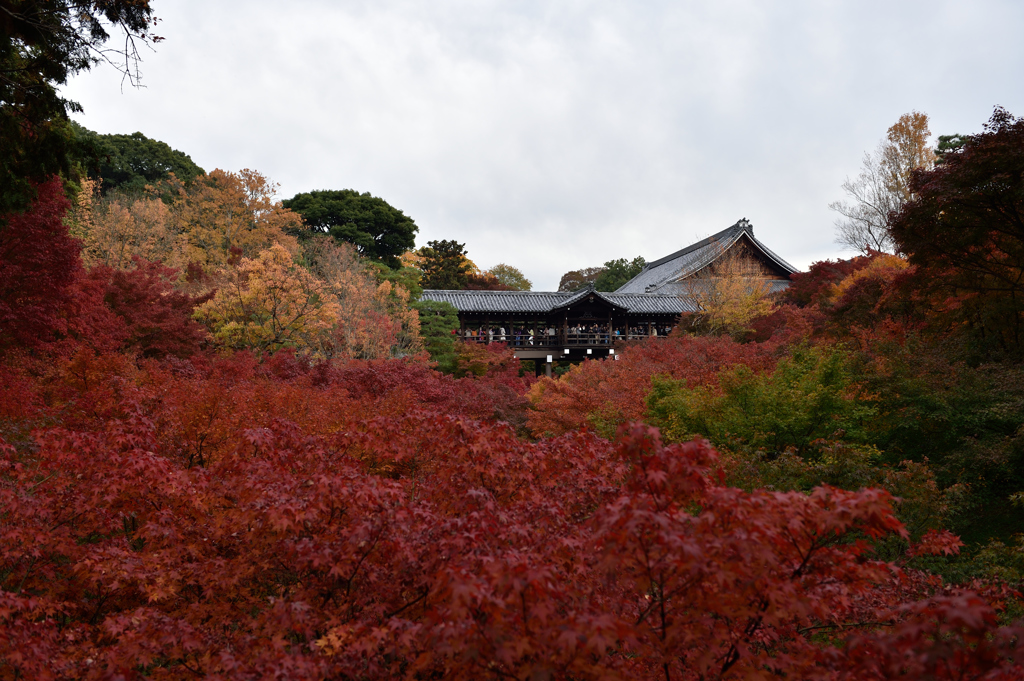 東福寺 通天橋