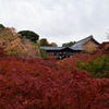 東福寺 通天橋