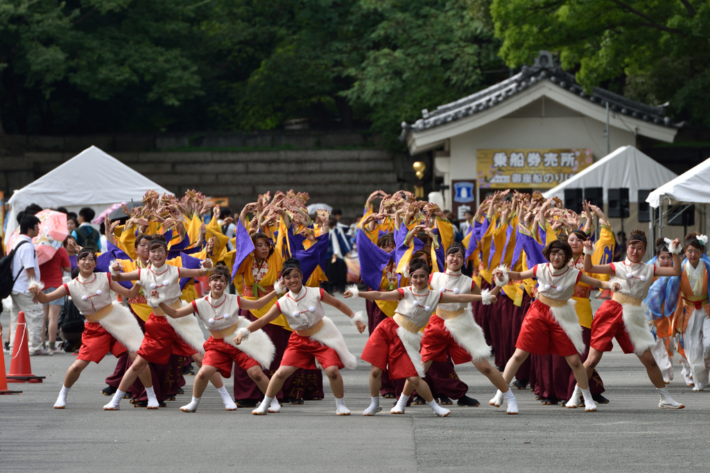 2016年こいや祭り 京小町-3