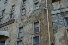 DSC00536