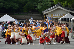 2016年こいや祭り 京小町-2