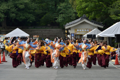 2016年こいや祭り 京小町-4