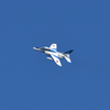 Blue Impulse@奈良-17