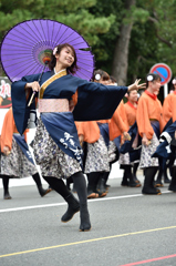 京都学生祭典 2014