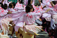 2015年 神戸よさこい 本祭1日目