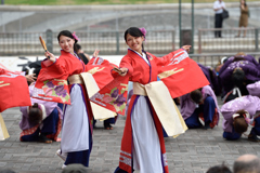 神戸よさこい 2016年