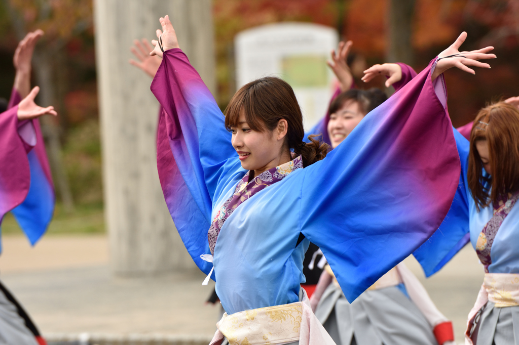 京炎そでふれ！祭り2015　文舞蘭さん