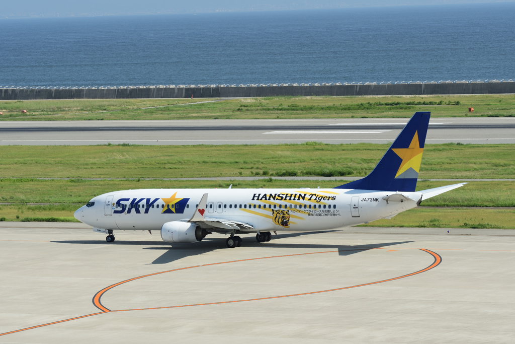 スカイマーク タイガースジェット