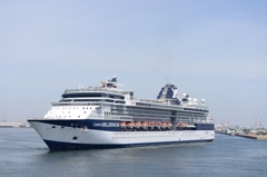 CELEBRITY MILLENNIUM