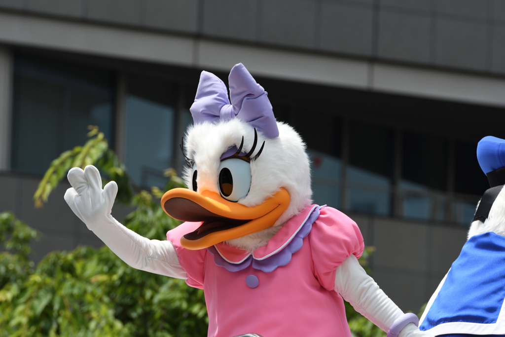 神戸まつり2017年 ディズニーパレード