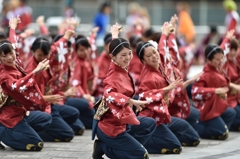 神戸よさこい 2014 本祭1日目