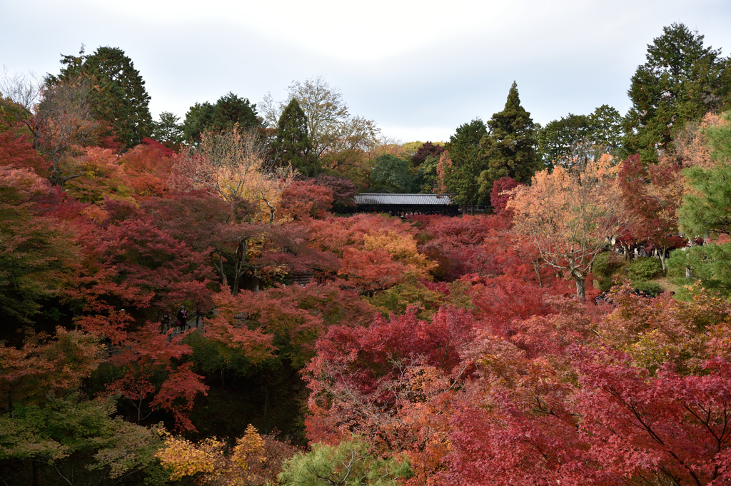 東福寺 臥雲橋