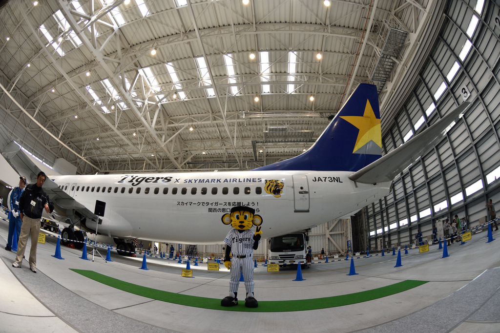 スカイマーク タイガースジェット 展示イベントにて