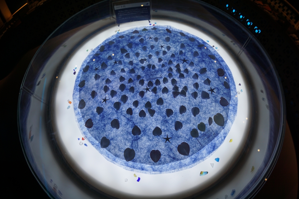 古宇利オーシャンタワー シェルミュージアム