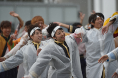 2015年 神戸よさこい 本祭2日目