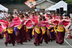 2016年こいや祭り 京小町-6