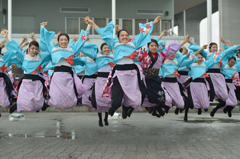 2015年 神戸よさこい 本祭2日目 京小町さん