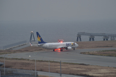 スカイマーク B737 anti-collision light