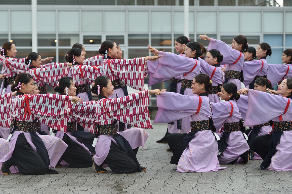 2015年 神戸よさこい 本祭2日目 京小町さん