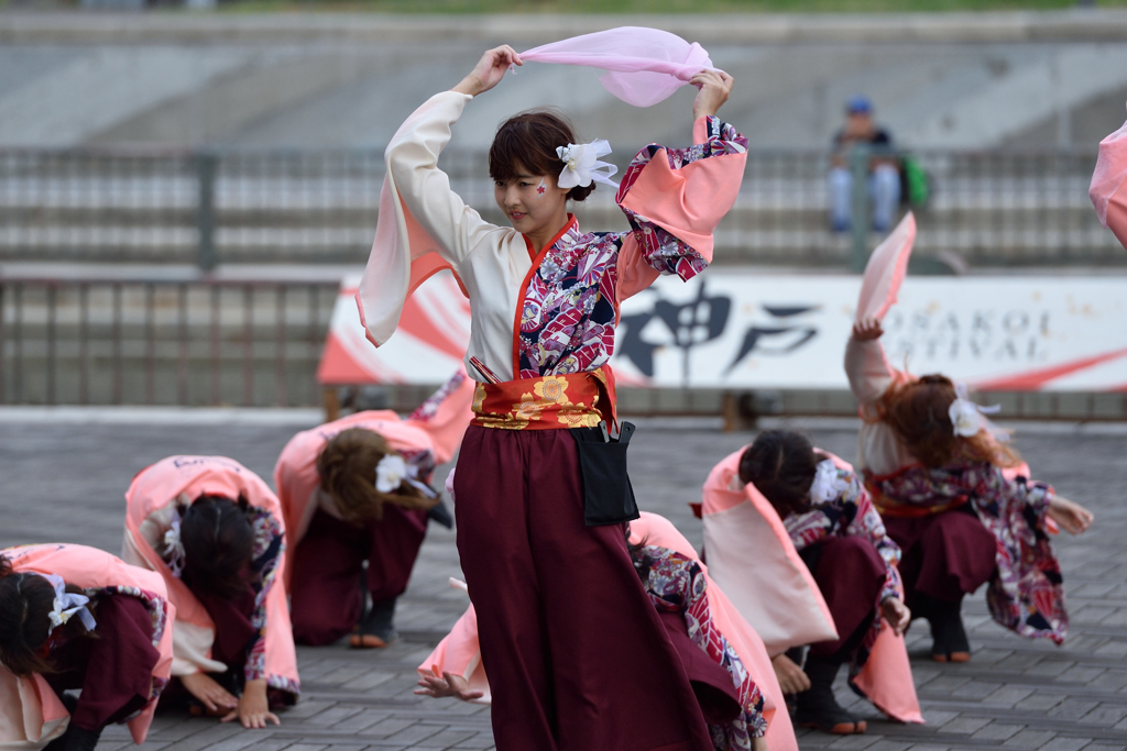 神戸よさこい 2016年 WING