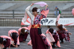 神戸よさこい 2016年 WING
