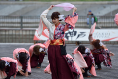 神戸よさこい 2016年 WING