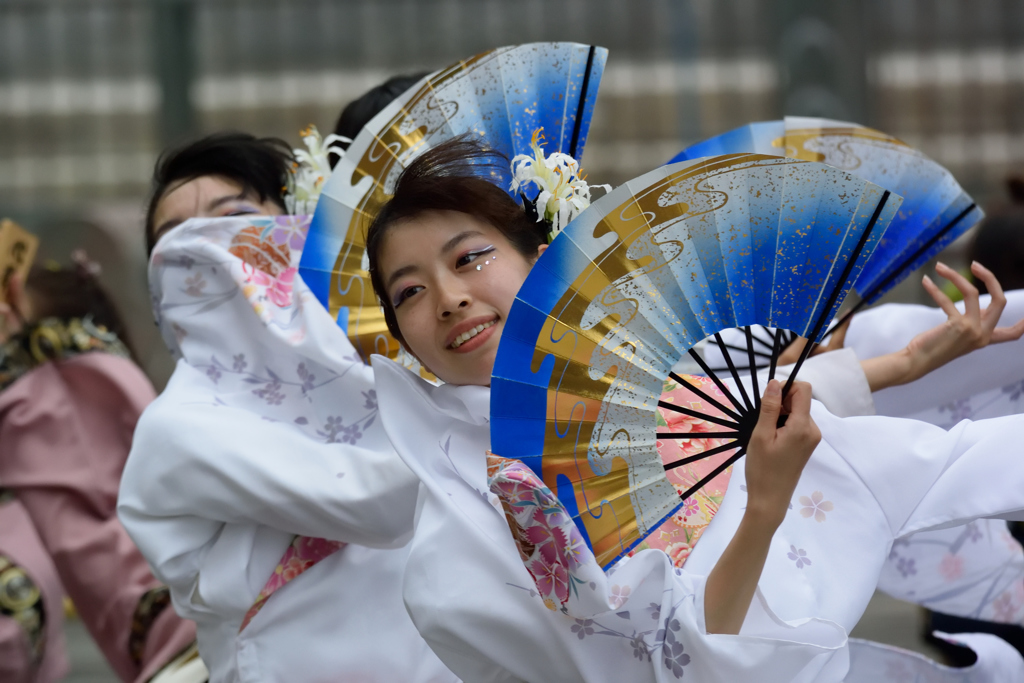 神戸よさこい 2016年
