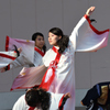 龍馬よさこい 2016-6