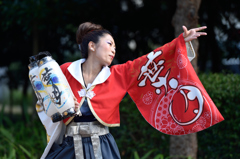 KOBE ALIVE 2015