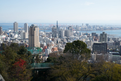 ビーナスブリッジ