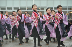 2015年 神戸よさこい 本祭2日目 京小町さん
