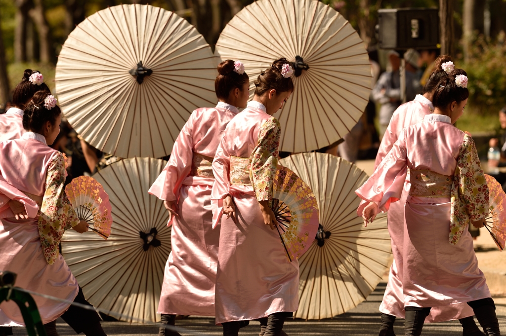こいや祭り 2014