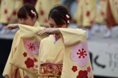 2015年 神戸よさこい 本祭2日目